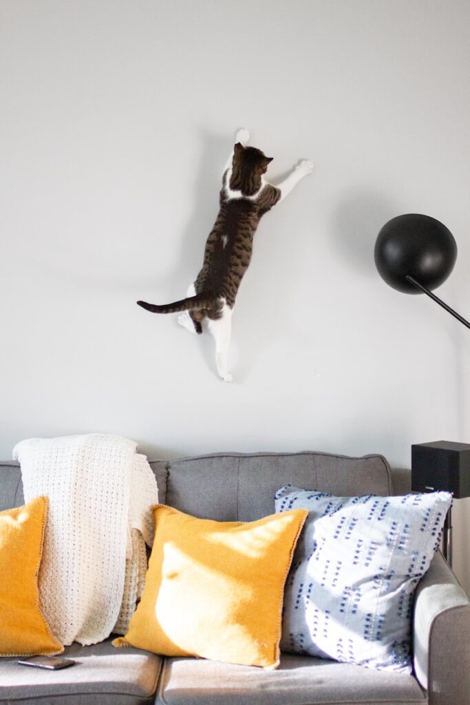 gray fabric sofa chair