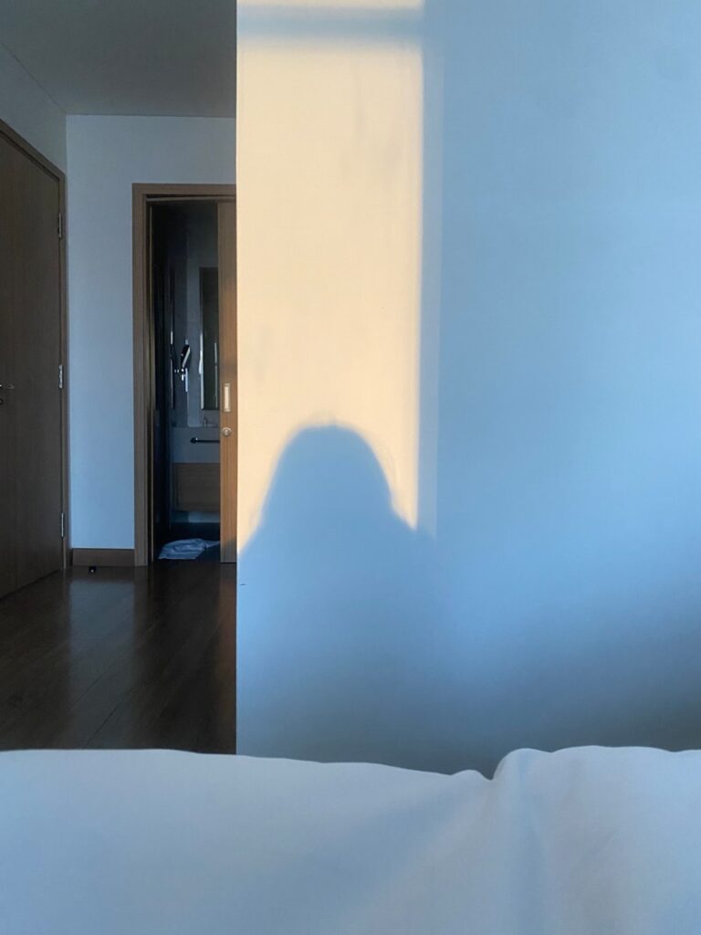 Shadow cast on wall in a bright room.
